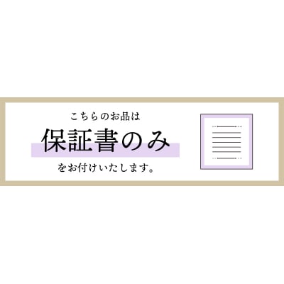 K18PGダイヤモンドネックレス(Fph004)