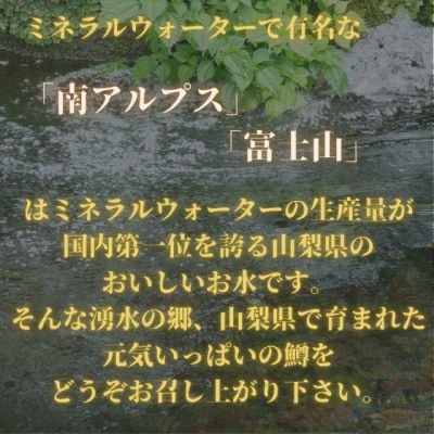 甲斐サーモン　西京漬け&塩こうじ漬け