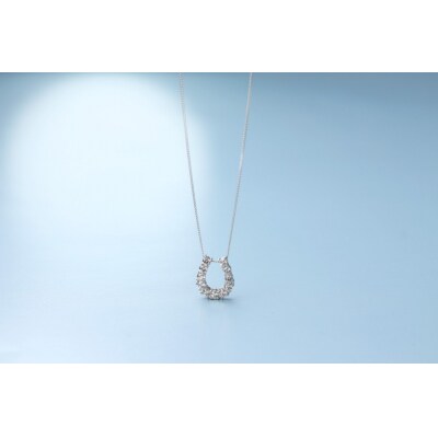 Pt900ダイヤモンドネックレス 0.363ct/上品な馬蹄デザイン/PT900-N007D