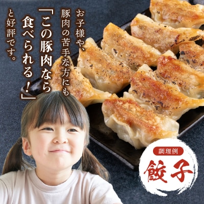 【2026年1月以降順次発送】クリスタルポーク挽き肉2kg