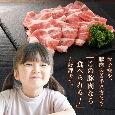 クリスタルポーク生姜焼き2kg