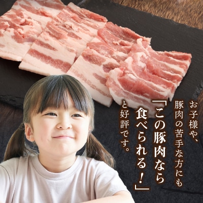 クリスタルポーク焼き肉1kg