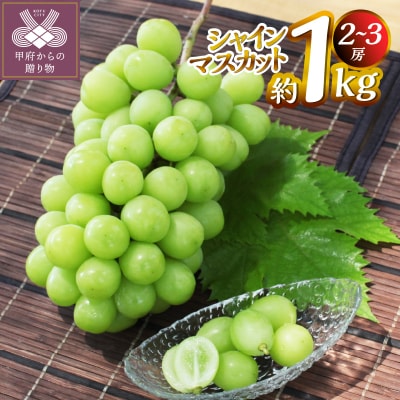 【2026年度配送分】甲府市産　シャインマスカット　約1.0kg(2～3房)