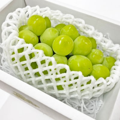 【2026年度配送分】甲府市産　シャインマスカット　約1.0kg(2～3房)