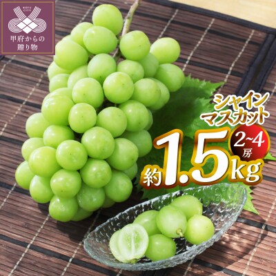 【2026年度配送分】甲府市産　シャインマスカット　約1.5kg(2～4房)