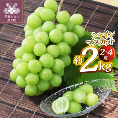 【2026年度配送分】甲府市産　シャインマスカット　約2.0kg(2～4房)