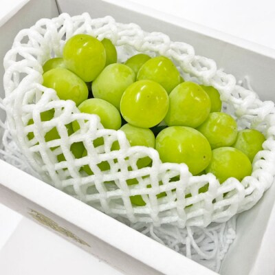 【2026年度配送分】甲府市産　シャインマスカット　約2.0kg(2～4房)