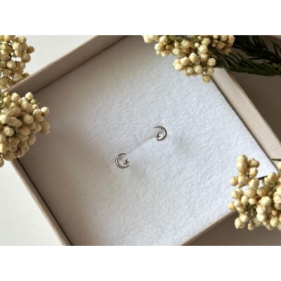 Pt900 ムーンモチーフピアス地金(PE8037)