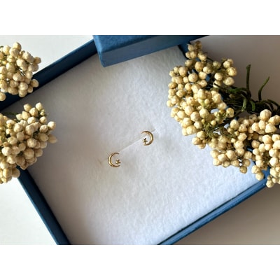 K18 ムーンモチーフピアス地金(PE8038)