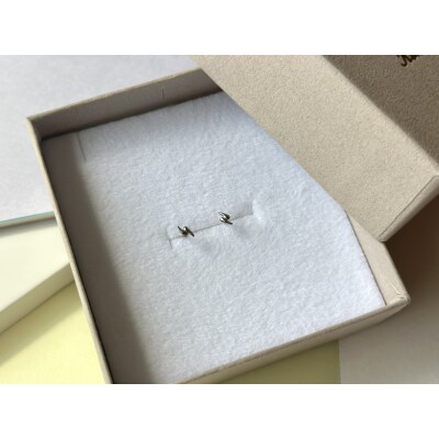 Pt900 カミナリモチーフピアス(PE8225)