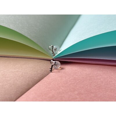 Pt900 ココロノトビラピアス(PE8227)