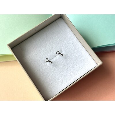 Pt900 ココロノトビラピアス(PE8227)