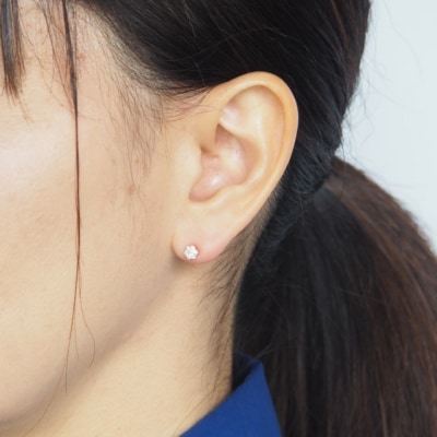 K18PG 0.2ct ダイヤモンド ピアス　FFP-000342