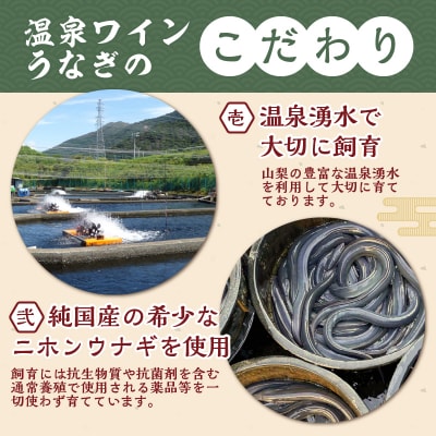 【甲斐サーモン】西京漬け&塩こうじ漬け 1kg超&【温泉ワインうなぎ】蒲焼 1尾(大)