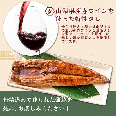 【甲斐サーモン】西京漬け&塩こうじ漬け 1kg超&【温泉ワインうなぎ】蒲焼 1尾(大)