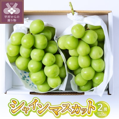 〈2026年度配送分〉シャインマスカット 2房(1.2kg) 〈KF-1〉