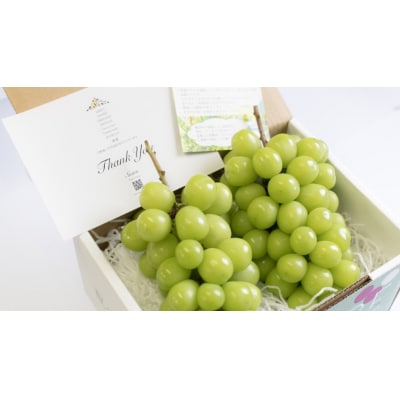 〈2026年度配送分〉シャインマスカット 2房(1.2kg) 〈KF-1〉