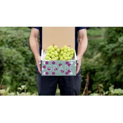 〈2026年度配送分〉シャインマスカット 2房(1.2kg) 〈KF-1〉