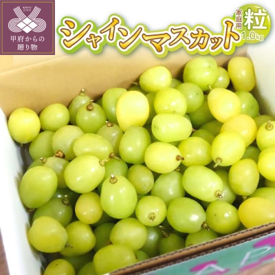 〈2026年度配送分〉シャインマスカット 家庭用(粒 1.0kg)〈KF-3〉