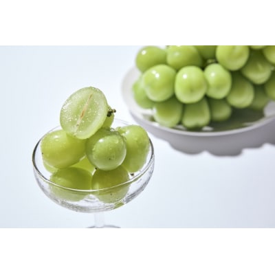 〈2026年度配送分〉シャインマスカット 家庭用(粒 1.0kg)〈KF-3〉