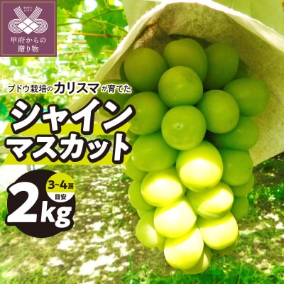 甲府市産(池川総合ブドウ園)のシャインマスカット2kg相当(目安3～4房)K07024-B