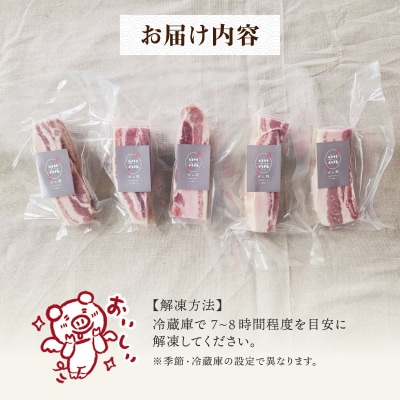 ぜん糀バラベーコンブロック(約100g×5)ZBB1