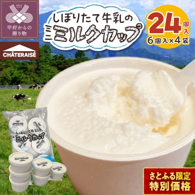 【シャトレーゼ】しぼりたて牛乳のミニミルクカップ24個入