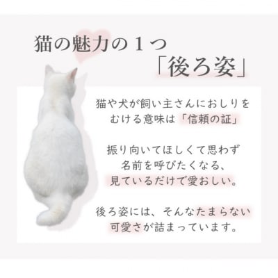 K18/Pt950 ネコモチーフ ダイヤモンド ネックレス / b0380da
