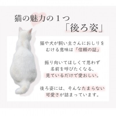 Pt950/K18 ネコモチーフ ダイヤモンド ネックレス / b0380da