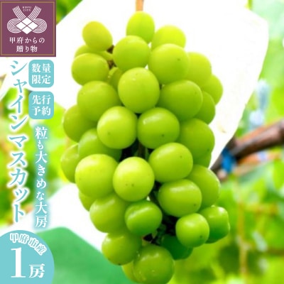 〈2026年度配送分〉山梨県甲府市産シャインマスカット1房(750g～850g)B