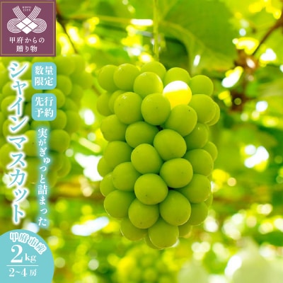〈2026年度配送分〉山梨県甲府市産シャインマスカット2kg(2房～4房)C