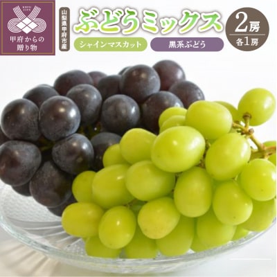 〈2026年度配送分〉山梨県甲府市産 ぶどうミックス 2房(シャイン・黒系ぶどう)F