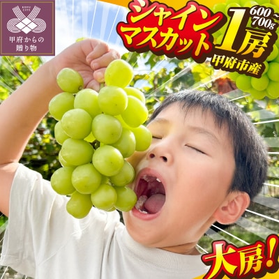 〈2026年度配送分〉甲府市産シャインマスカット大房大粒(600g〜700g)A