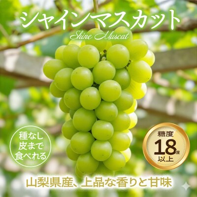 〈2026年度配送分〉ぶどう　シャインマスカットセットA