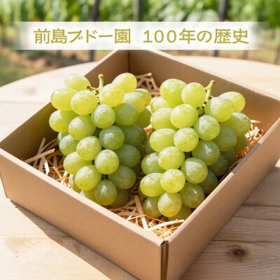 〈2026年度配送分〉ぶどう　シャインマスカットセットA