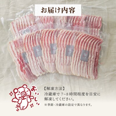 ぜん糀バラベーコンスライス(100g×10)ZBS2