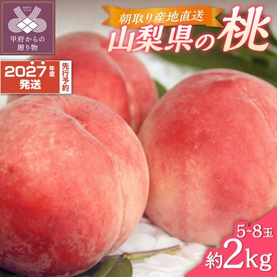 〈2027年度配送分〉甲府市産 桃 約2kg(5～8玉)