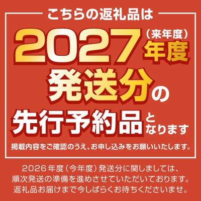 〈2027年度配送分〉甲府市産 桃 約2kg(5～8玉)