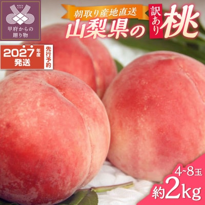〈2027年度配送分〉甲府市産 訳あり桃 約2kg(4～8玉)