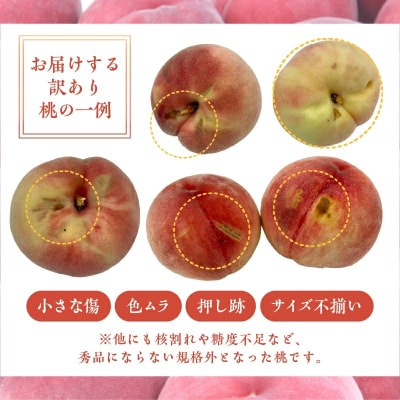 〈2027年度配送分〉甲府市産 訳あり桃 約2kg(4～8玉)