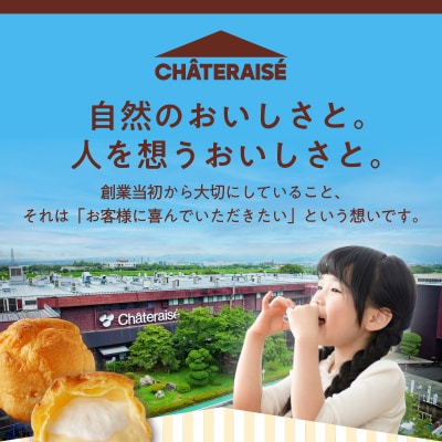 【シャトレーゼ】ふるさと納税限定チョコレートセット〈キューブドールビター/キャラメル&カカオバトン〉