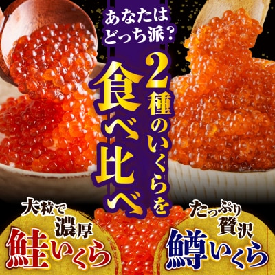 えりも【マルデン特製】いくら食べ比べセット(鮭いくら250g・鱒いくら130g×2箱)