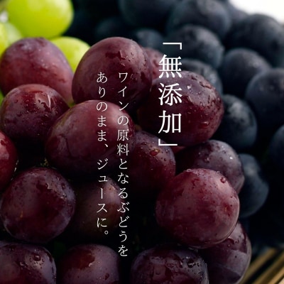 無添加 100%ストレート ぶどうジュース 180ml カベルネ 1本_ Y067-0151