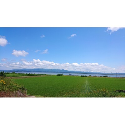 青森県十三湖産【冷凍】ヤマトシジミ 中 1kg [0016]