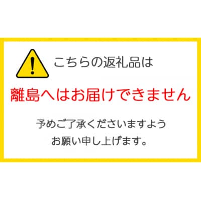 りんご缶ジュース 1箱30本入り [0693]
