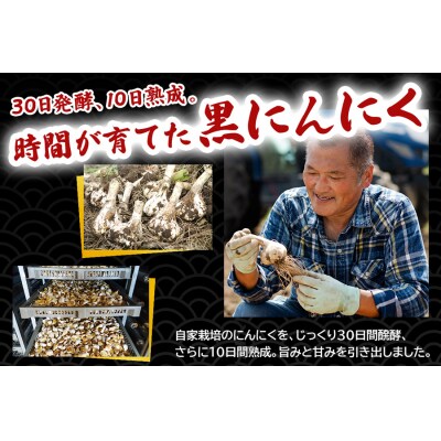 黒にんにく山盛りセット《定期便》|ニンニク [0331]