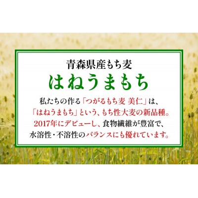 [青森県産] つがるもち麦 美仁 900g×3袋  [0335]