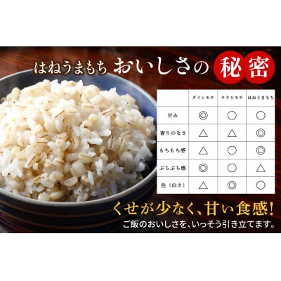 青森産 特別栽培 つがるもち麦 美仁 900g×3袋 [0343]