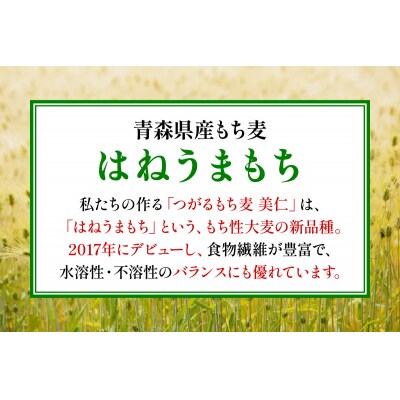 特別栽培 つがるもち麦 美仁 5kg《定期便》 [0346]