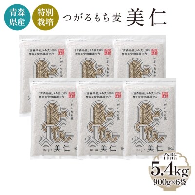 青森産 特別栽培 つがるもち麦 美仁 900g×6袋 [0347]